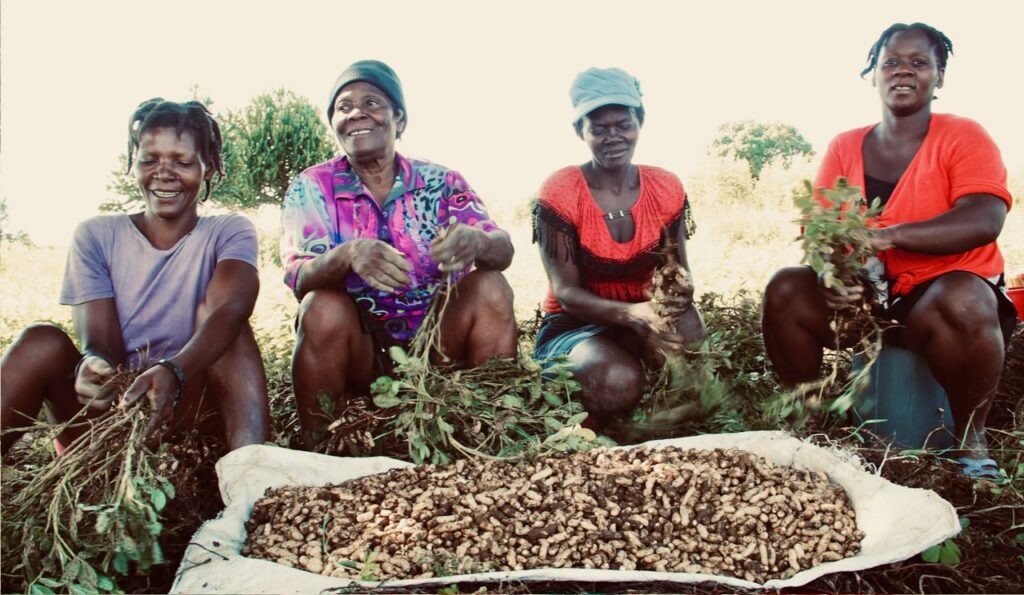 Regarder vers la terre : repenser la place du monde rural en Haïti