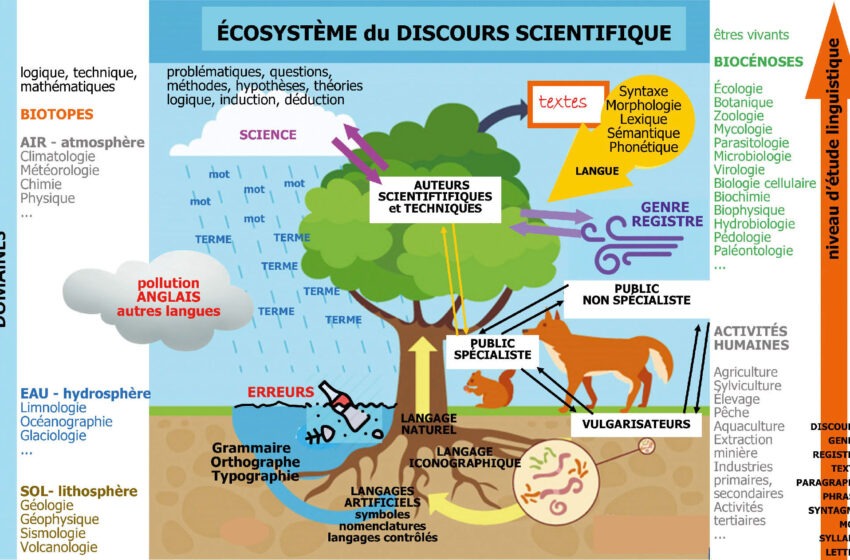  L’écosystème : une interaction vitale entre le vivant et son milieu