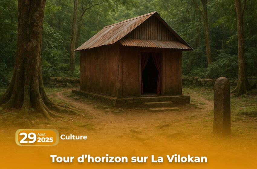  Tour d’horizon sur La Vilokan