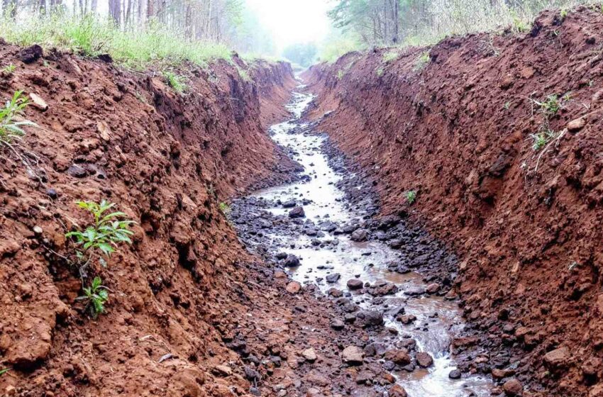  L’érosion : une menace silencieuse pour la Terre