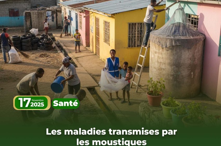  Les maladies transmises par les moustiques