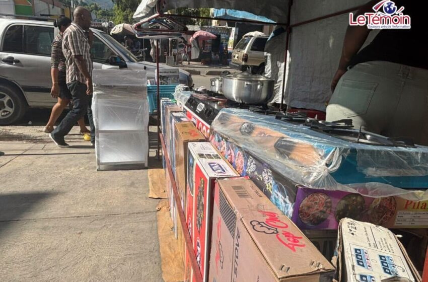  Jeannette François : épanouie grâce à sa petite entreprise qui change sa vie