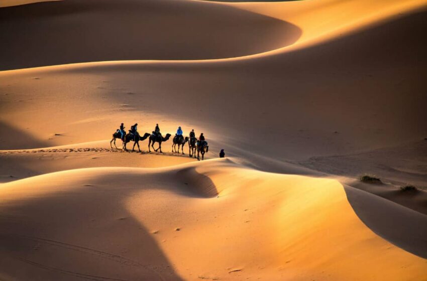 Saviez-vous que le désert du Sahara a autrefois été une savane verte ?