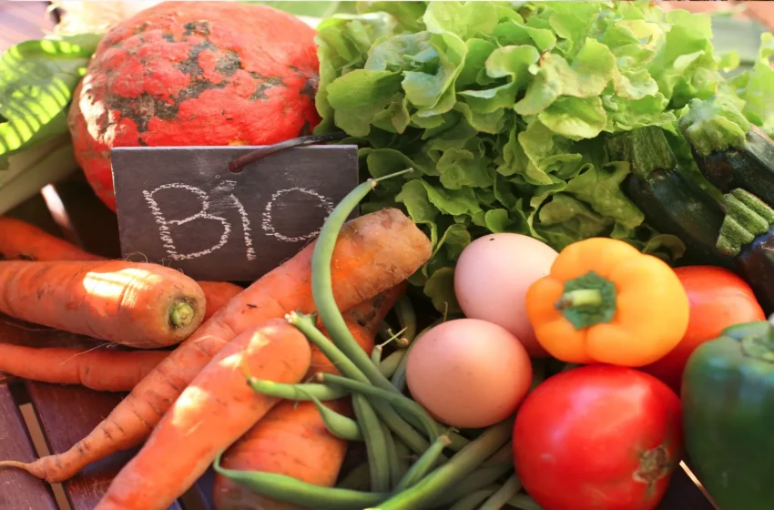  Manger bio : bénéfices réels et limites cachées