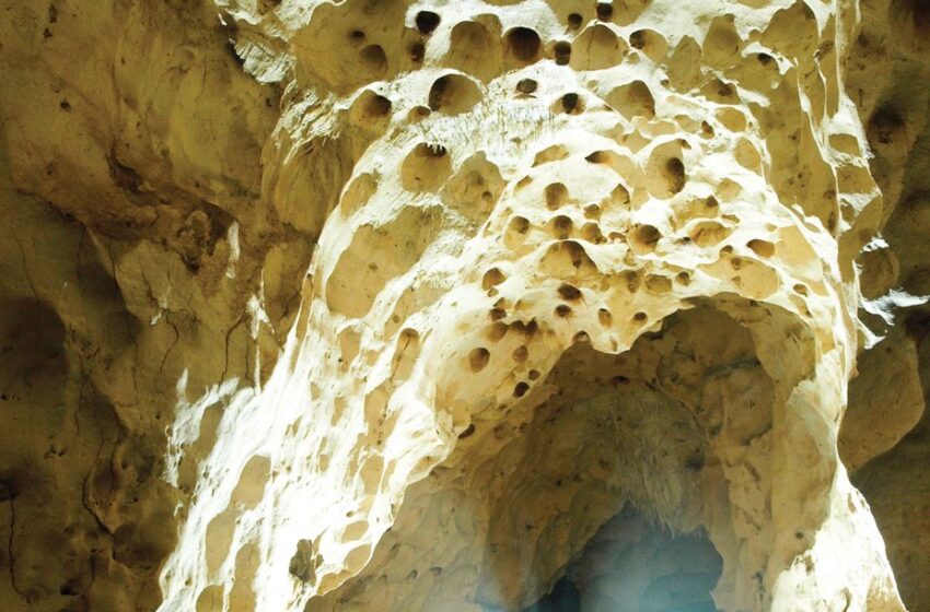  Savez-vous que la Grotte Marie-Jeanne est la plus profonde grotte des Caraïbes ?