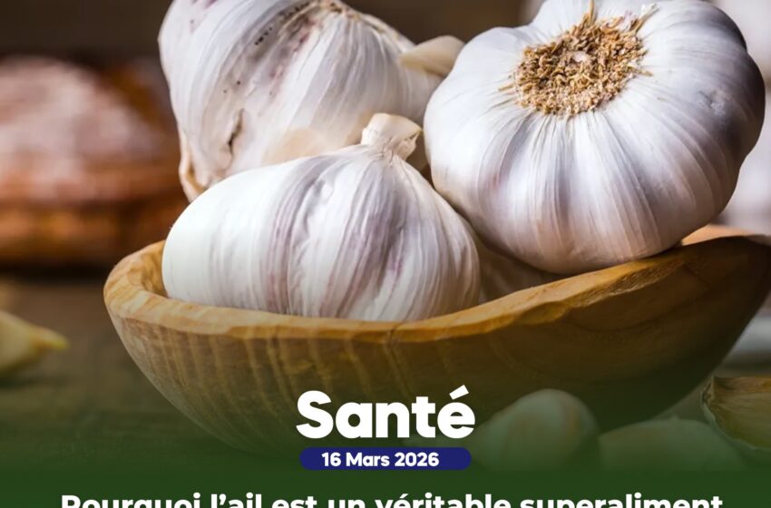  Pourquoi l’ail est un véritable superaliment pour la santé