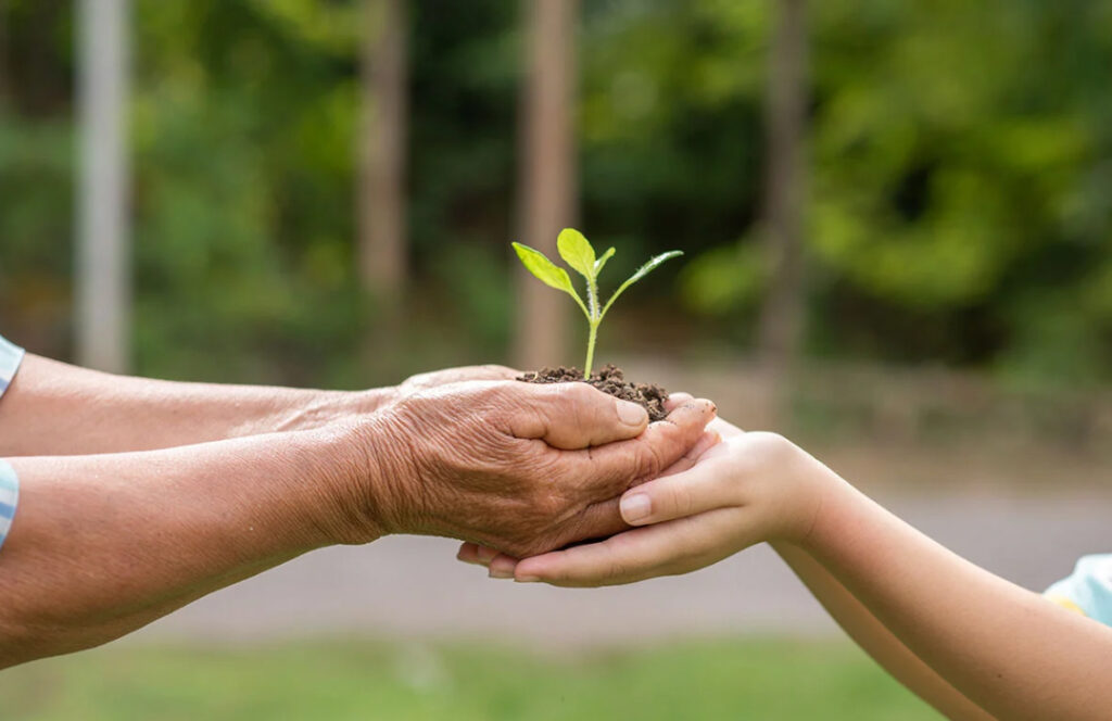 La jeunesse et l’environnement : une responsabilité pour l’avenir