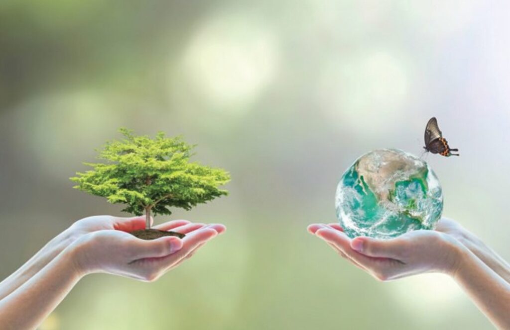 Le compostage, un geste simple pour protéger notre planète