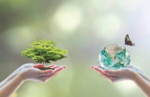 Le compostage, un geste simple pour protéger notre planète