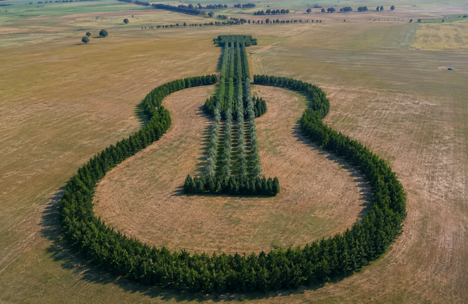 Saviez-vous qu&rsquo;il existe une forêt en forme de guitare en Argentine ?
