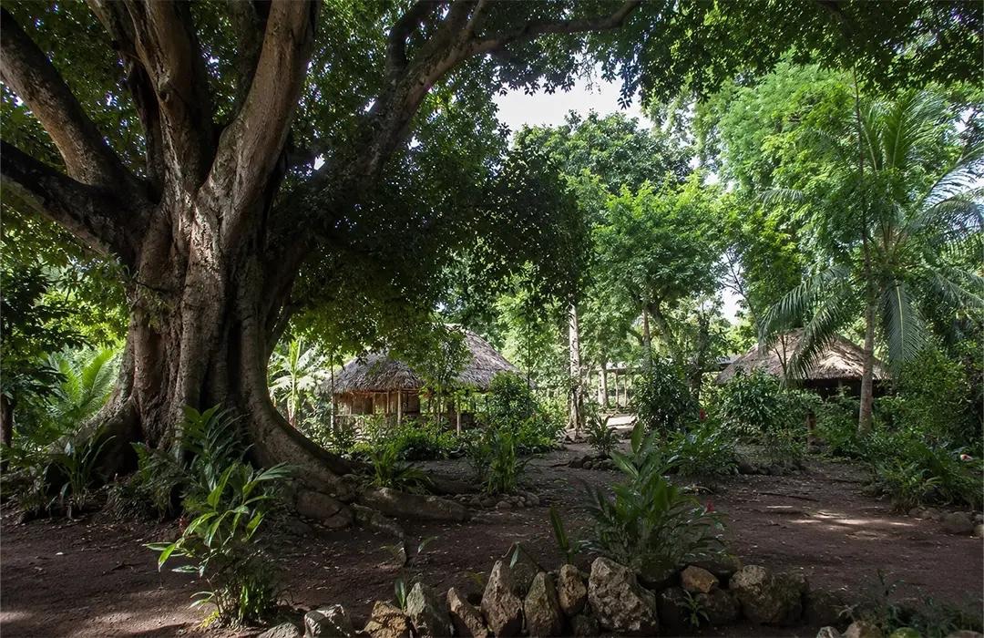 Les « lakous » et la protection de la biodiversité