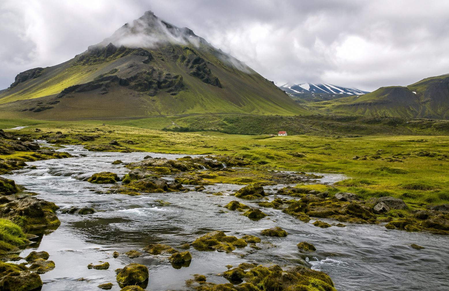 Saviez-vous que l’Islande n’a pas de moustiques ?